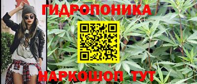прущие грибы Малгобек