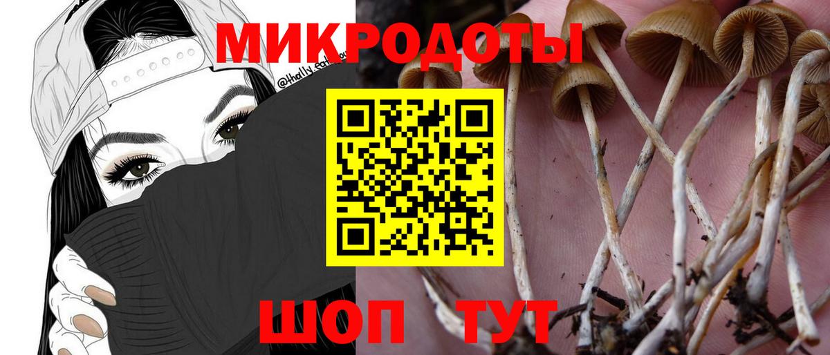 Псилоцибиновые грибы ЛСД  Вход с VPN  Гурьевск 
