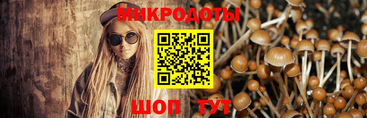 Псилоцибиновые грибы ЛСД Гурьевск